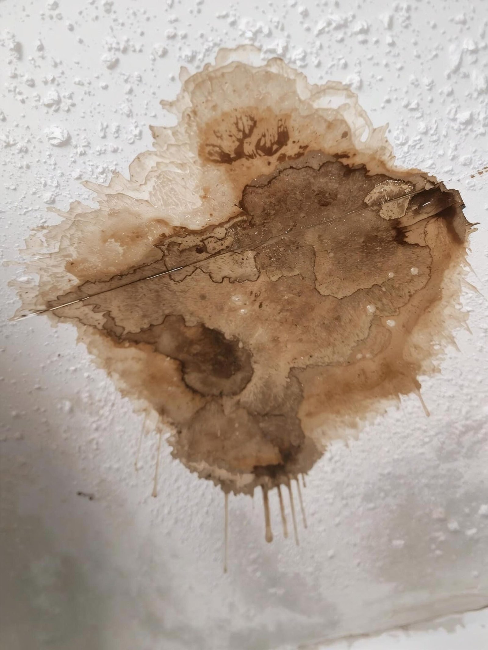 Dépannage urgence dégât des eaux à Brest par AS29 plombier